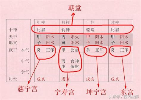 透干 意思|透干